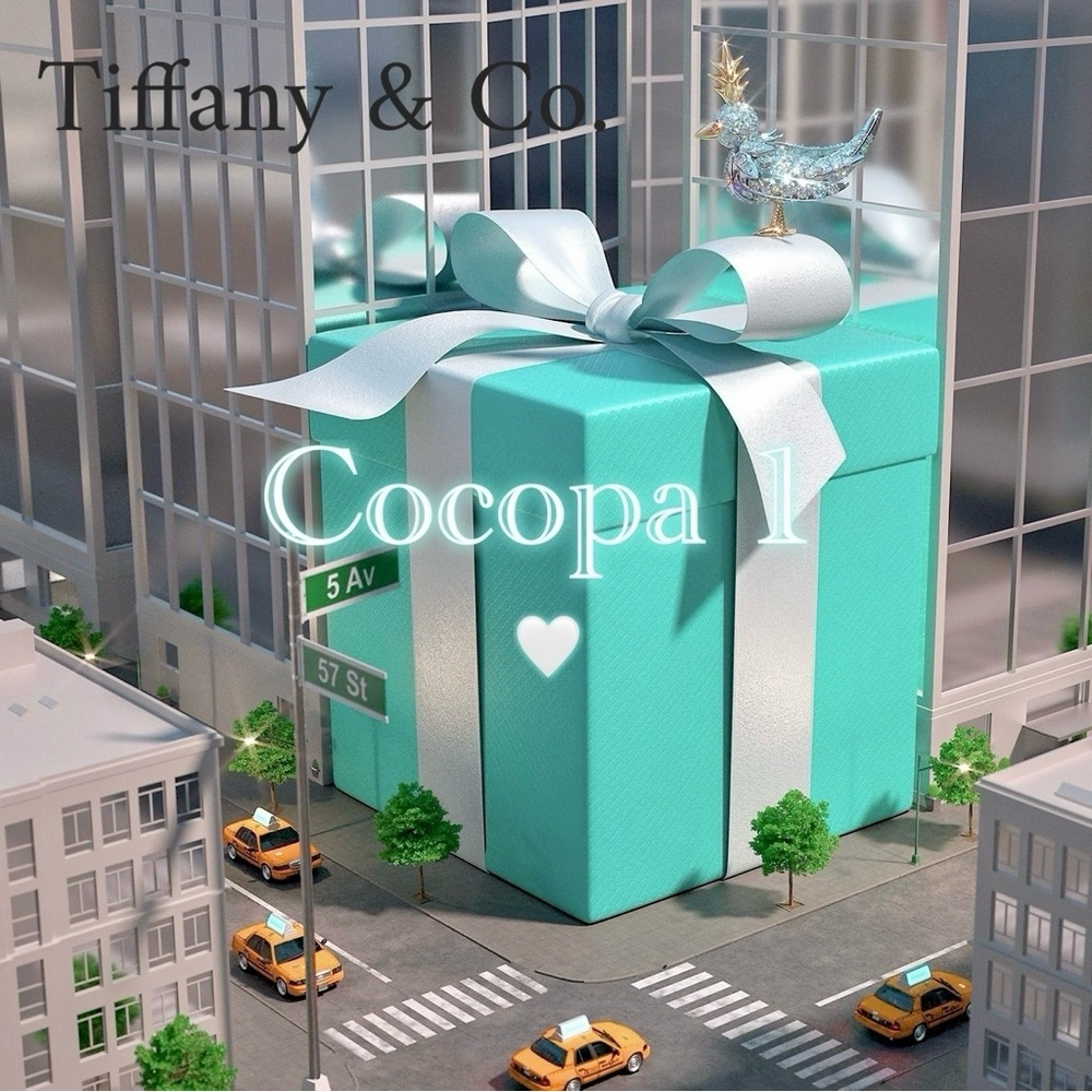 ❤️❤️❤️ Tiffany & Co.❤️❤️❤️ Jewelry in my Closet 🚕